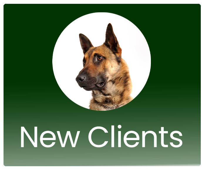 New Clients